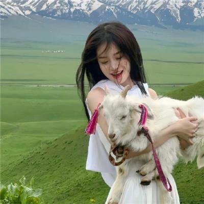续韩国泪的小花